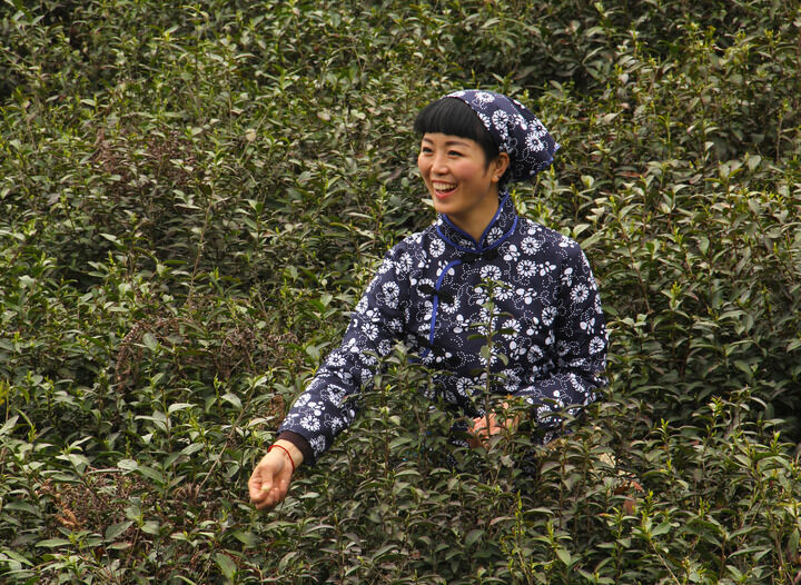 热荐6